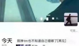 文轩私生爆料视频过年,过年背后的惊人真相